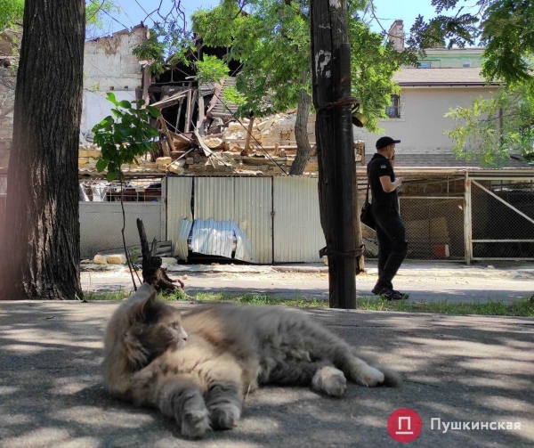 В Одессе обрушилось 2-этажное нежилое здание: пострадали автомобили. Фото