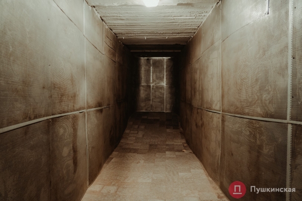 Айсберг искусства: большой фоторепортаж о блеске и подземных «тайнах» одесского Оперного театра