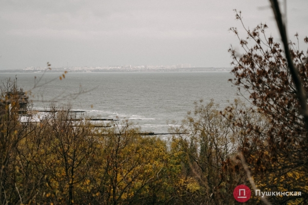 Золотая листва, море и абсолютный покой: прогулка по осенней Трассе здоровья. Фоторепортаж