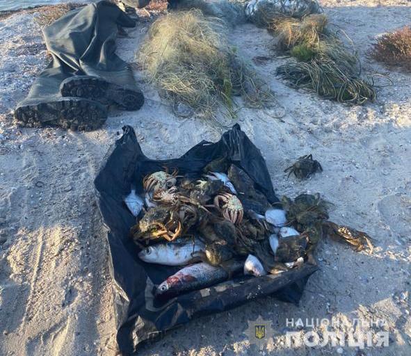 Житель Сергеевской громады ловил сетями бычков и крабов и попался рыбоохране 