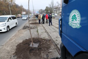Одесситы продолжают высаживать 1000 акаций: как присоединиться