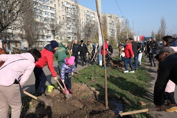 Одесситы продолжают высаживать 1000 акаций: как присоединиться