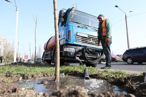 Одесситы продолжают высаживать 1000 акаций: как присоединиться