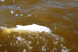 Озера в Одесской области могут исчезнуть 